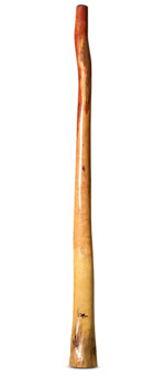 Tristan O'Meara Didgeridoo (TM355)